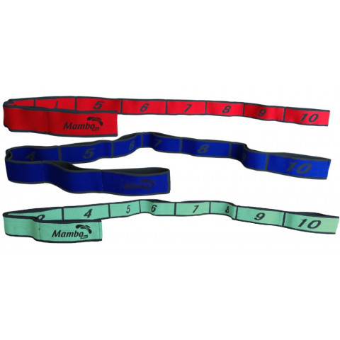Mambo Max Fabric Elastic Band - GulfPhysio - UAE's Online Physiotherapy  Store