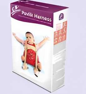 PAVLIK HARNESS