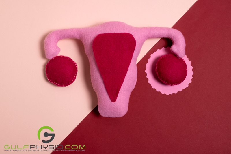 A model of the uterus made out of cloth/felt on a pink and red background.