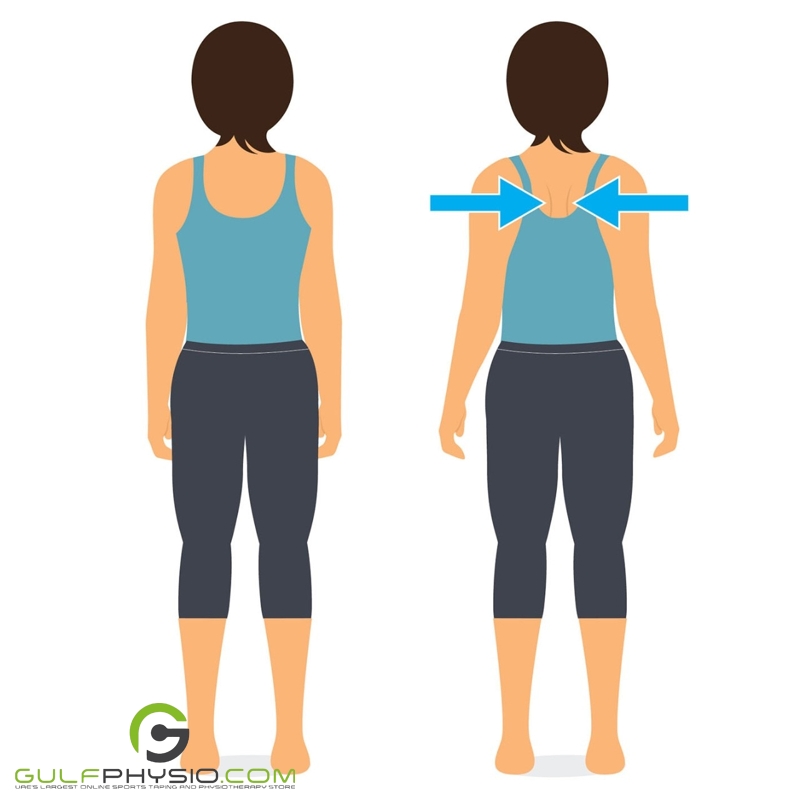 A diagram demonstrating the proper execution of shoulder blade squeezes. 