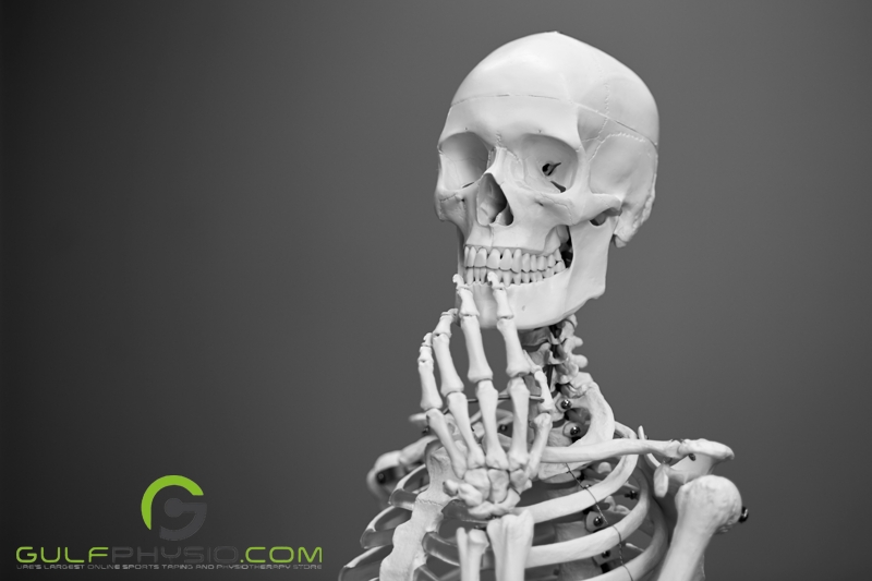 A skeleton posed to look like he is having a profound thought with his left hand scratching his chin